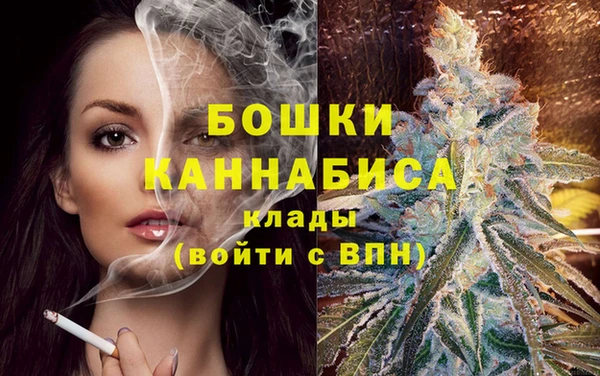 СК Медногорск