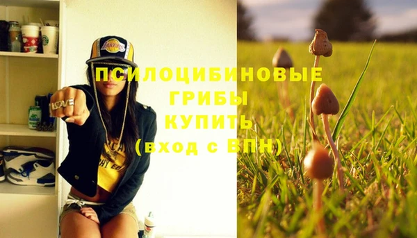 амф Магас