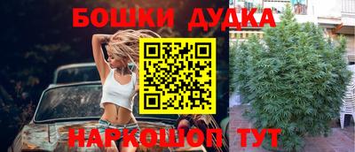 мдпв Дубна