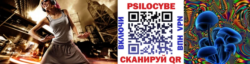 Псилоцибиновые грибы GOLDEN TEACHER  цена   omg ссылка  Медногорск 