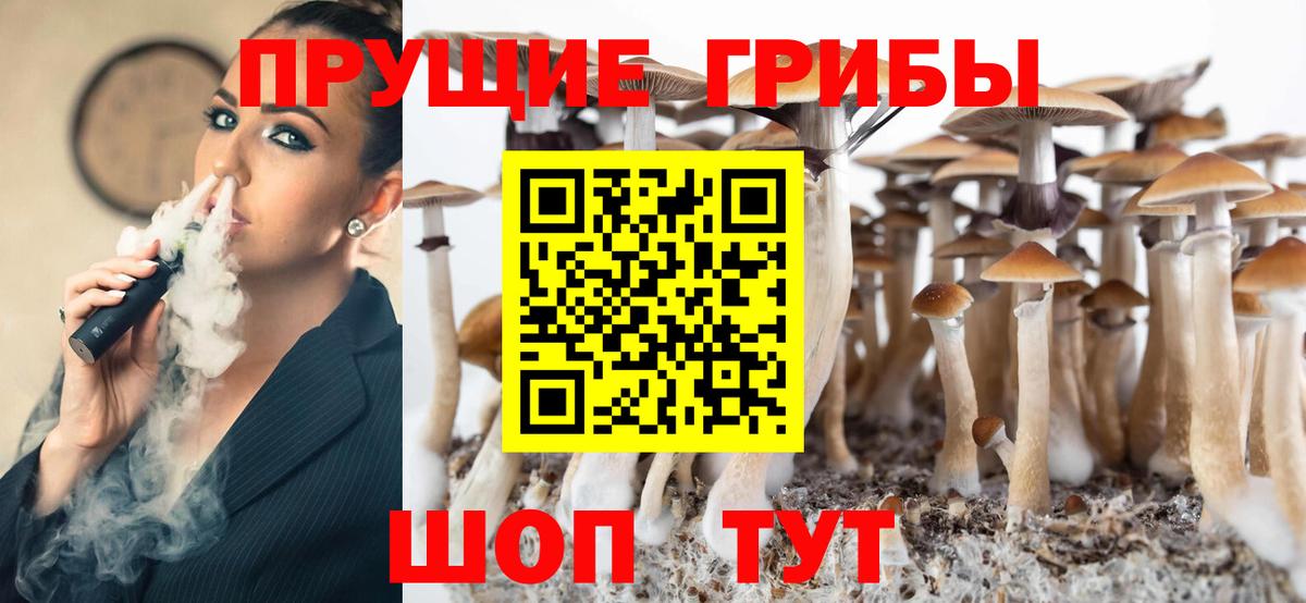 Галлюциногенные грибы Psilocybe Медногорск